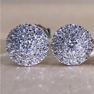 Elegant Silver Stud Earrings